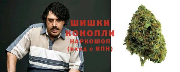 мдпв Михайловск