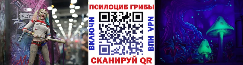 Псилоцибиновые грибы Cubensis  Невельск 